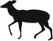 Small Deer