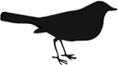 lemmingn